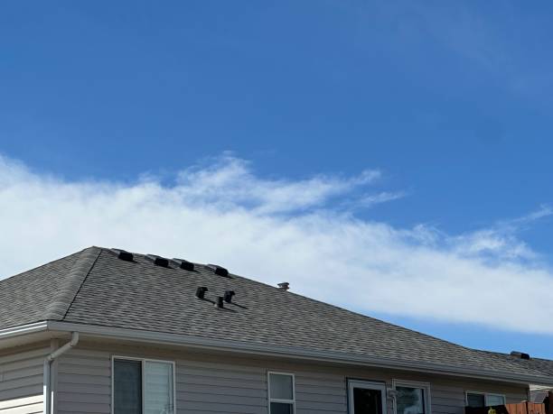 Best Commercial Roofing Services  in Mills, WY